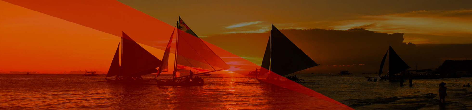 Need a Fast Background Check?